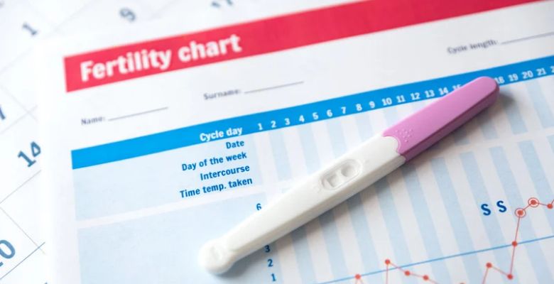 APFertilidade propõe Programa Nacional para a Fertilidade